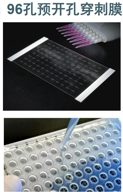 96孔预开孔穿刺膜.png