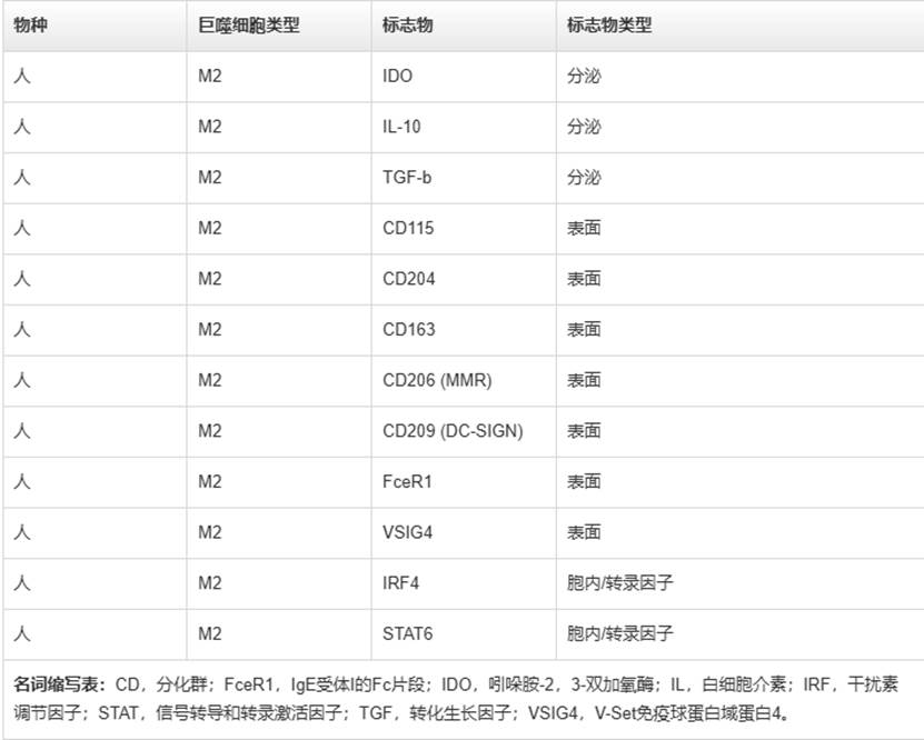 表格

AI 生成的内容可能不正确。
