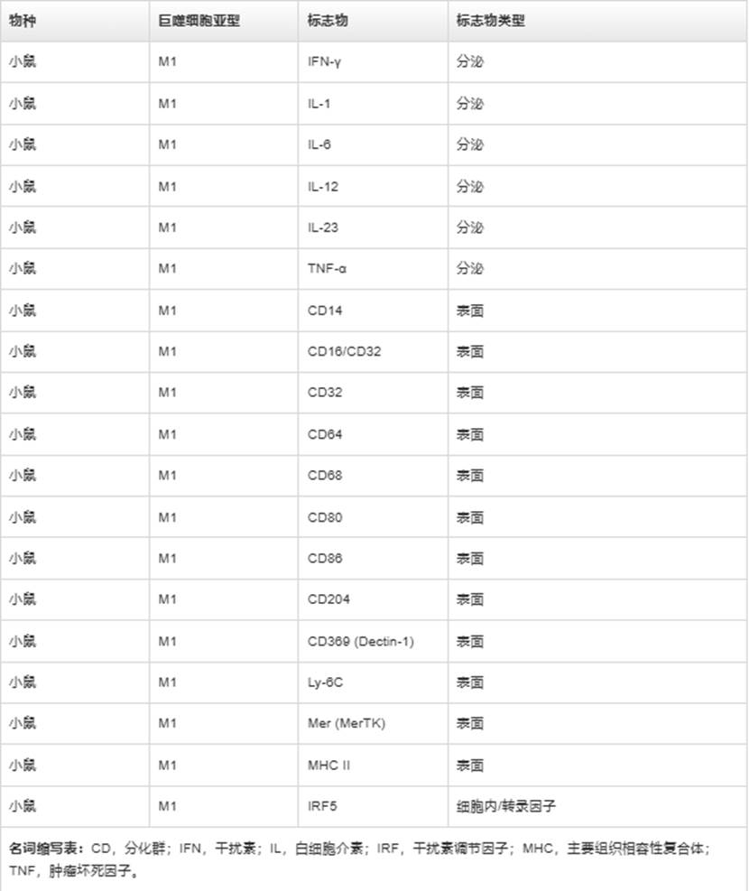 表格

AI 生成的内容可能不正确。