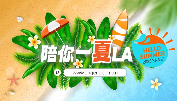 夏日科研限定浪漫，LABUBU陪你一夏啦~