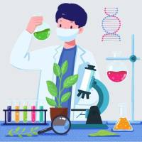 芹菜素含量检测,植物检测机构