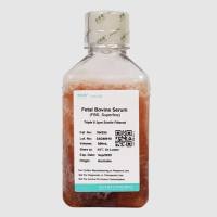 透析型胎牛血清（164217）Dialysis Fetal Bovine Serum