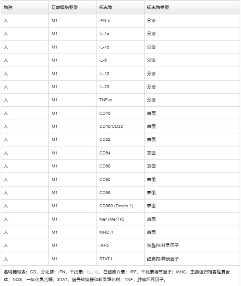 表格

AI 生成的内容可能不正确。
