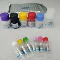 鸟源性成分染料法荧光定量PCR试剂盒价格