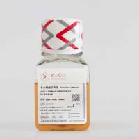 C3620-0100 VivaCell羊水细胞培养基  AmoioType-1 Medium