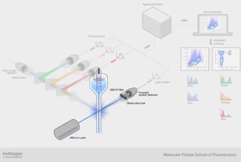 图示

AI 生成的内容可能不正确。