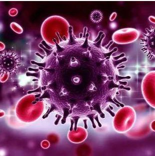 小鼠抗新冠病毒奥密克戎RBD蛋白IgG亚型抗体ELISA检测试剂盒