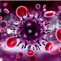 小鼠抗新冠病毒奥密克戎RBD蛋白IgG亚型抗体ELISA检测试剂盒