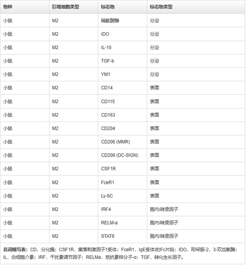 表格

AI 生成的内容可能不正确。