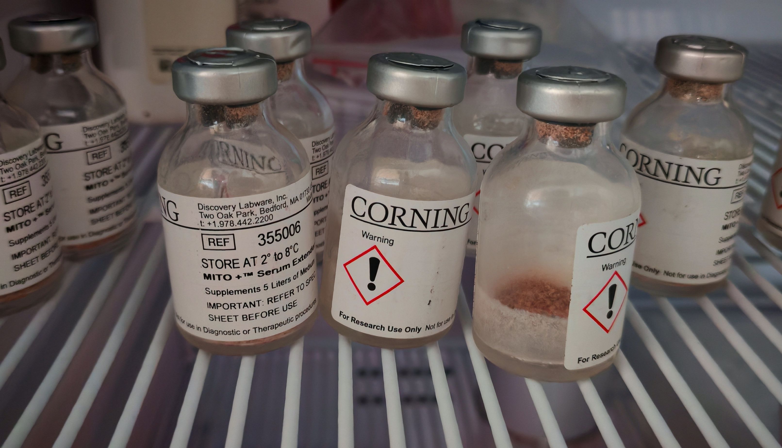 CHO细胞培养基成分一览