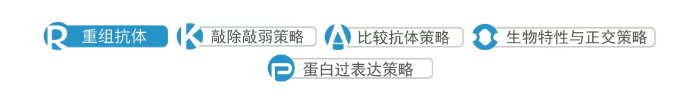 抗体验证.png
