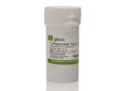 图片包含 游戏机, 乳液, 冰箱, 食物

AI 生成的内容可能不正确。