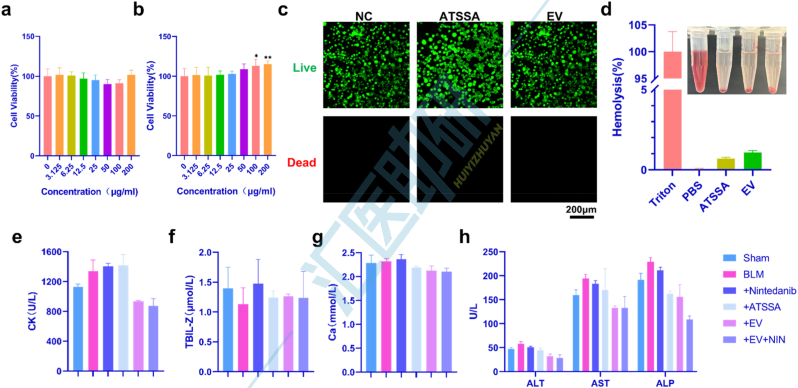 图2.ATSSA和EV的生物相容性。