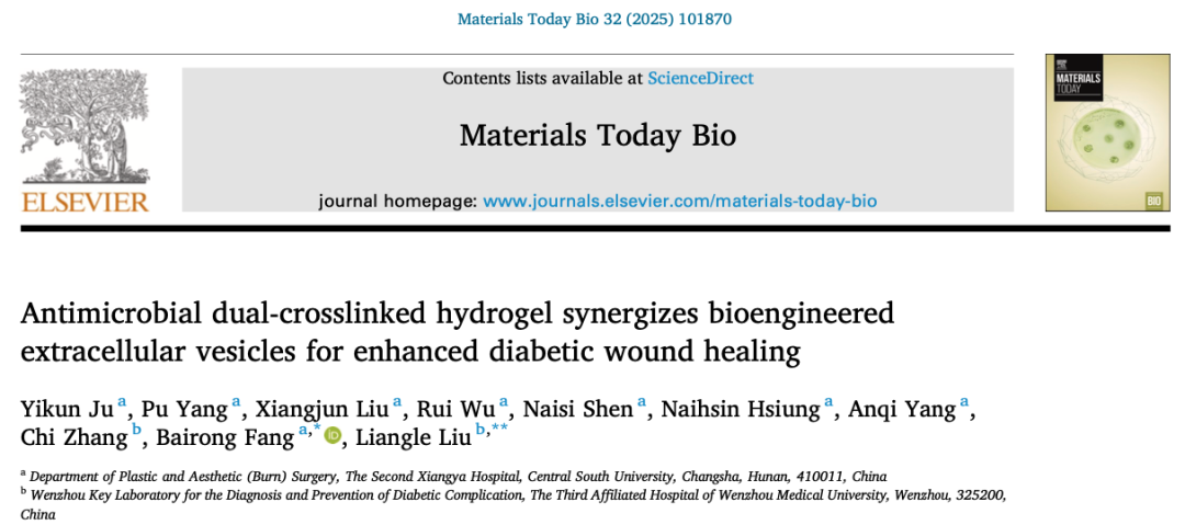吉凯助力！中南大学团队利用细胞转录组学联合外泌体蛋白组学展示BCL-2工程化外泌体的促血管生成潜力
