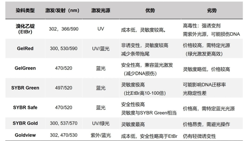 从精准染色到智能成像：解锁核酸电泳的高效双引擎