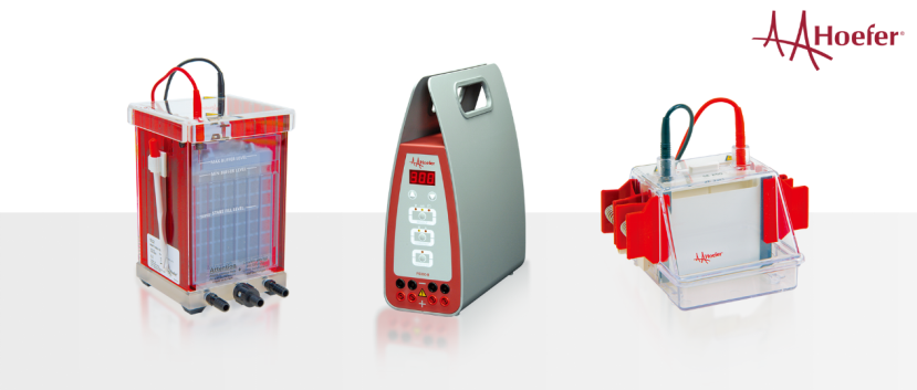 解锁科研利器：Hoefer Western Blotting组合的强大潜能