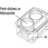 2.5L密封培养罐（厌氧培养专用容器）