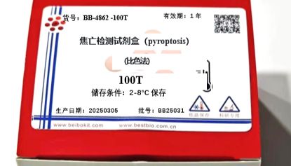 焦亡检测，Caspase荧光检测 新品上市