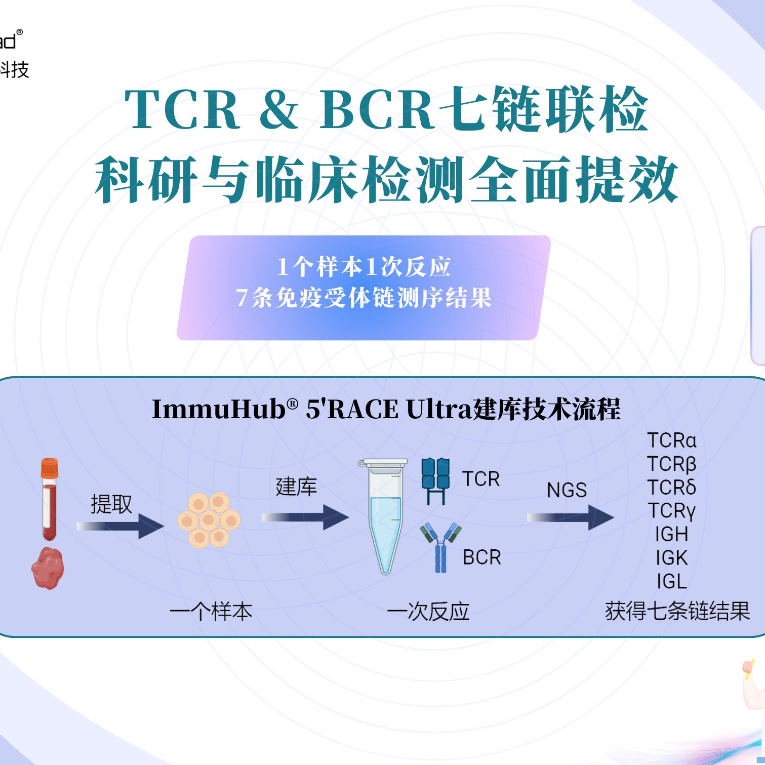 免疫组库测序服务(TCR/BCR测序)——ImmuHub® 5'RACE Ultra
