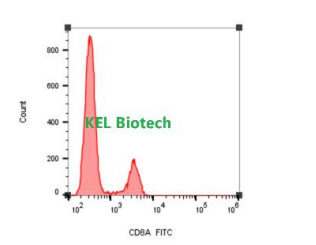 FITC anti-human CD8a