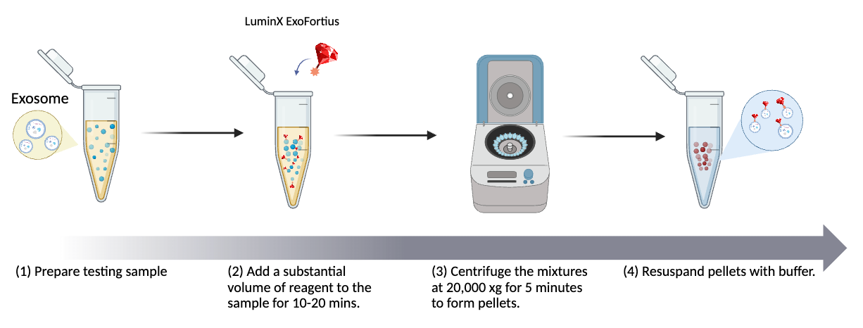 外泌体提取与纯化技术全解析：从原理到应用的全面比较