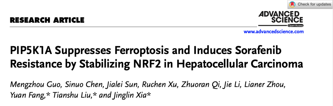 复旦大学夏景林团队揭示PIP5K1A通过稳定NRF2蛋白抑制肝癌细胞铁死亡并诱导索拉非尼耐药