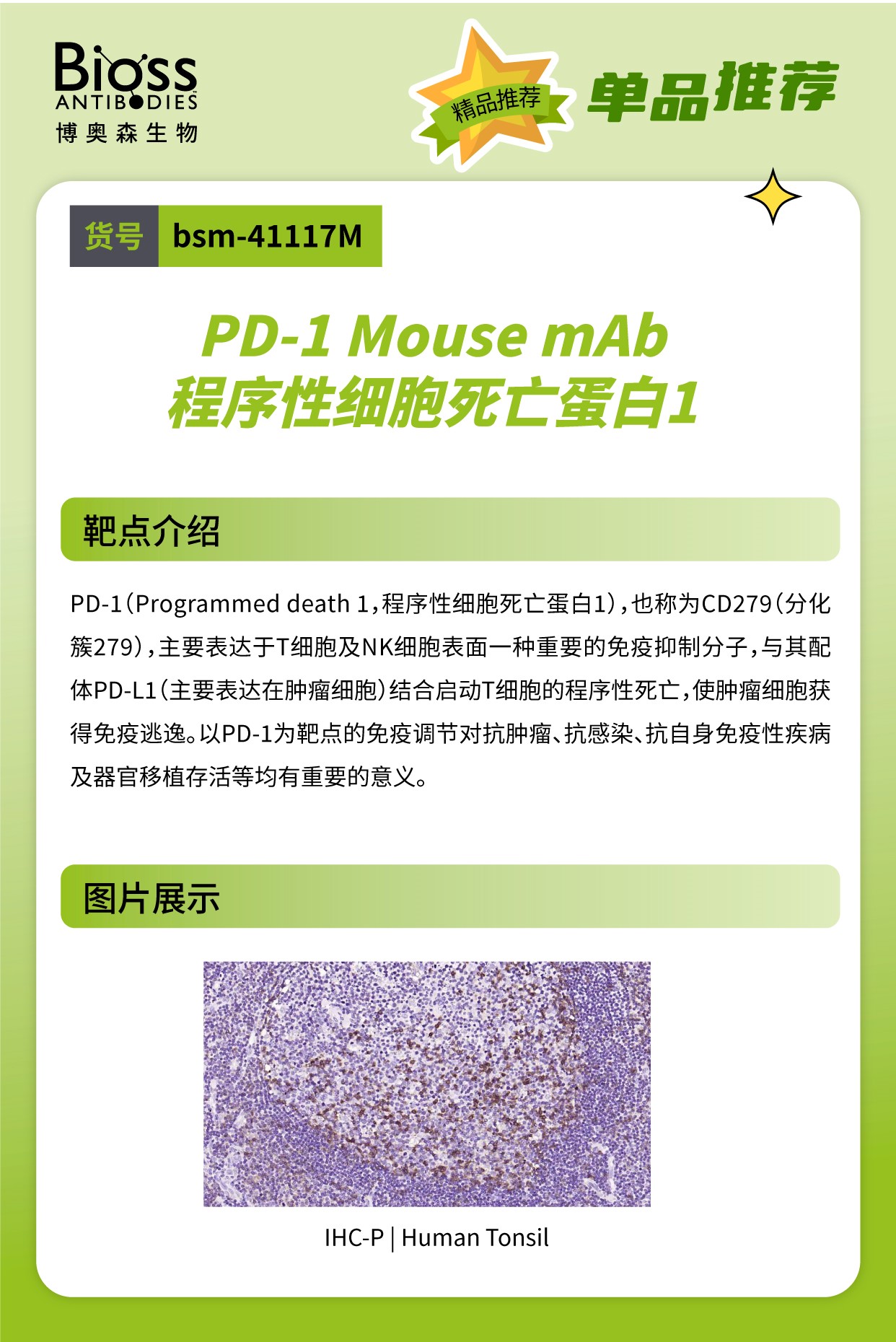 Bioss 星推荐 | PD-1 抗体