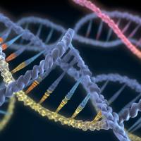 表观基因组关联分析（EWAS）