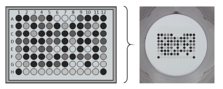 SCIENION精确喷点：推动高效、大规模诊断解决方案的关键