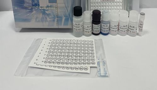 Elisa实验—ELISA板包被原理