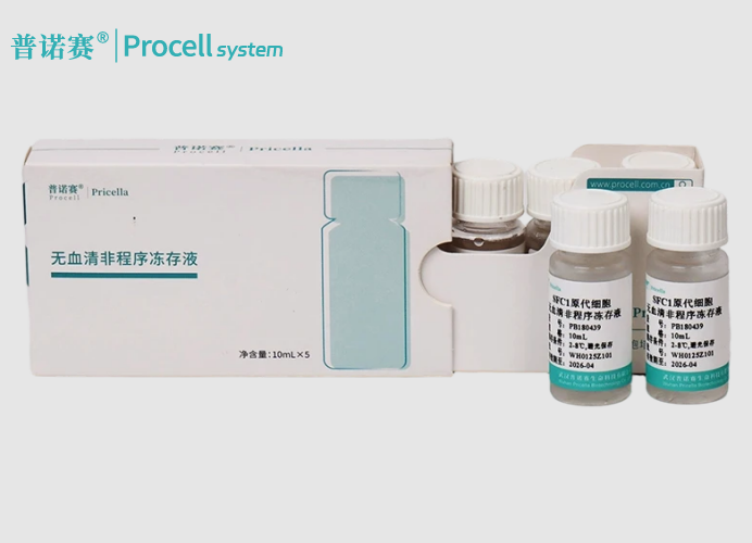 SFC1原代细胞无血清非程序冻存液：有效保证冻存原代细胞安全