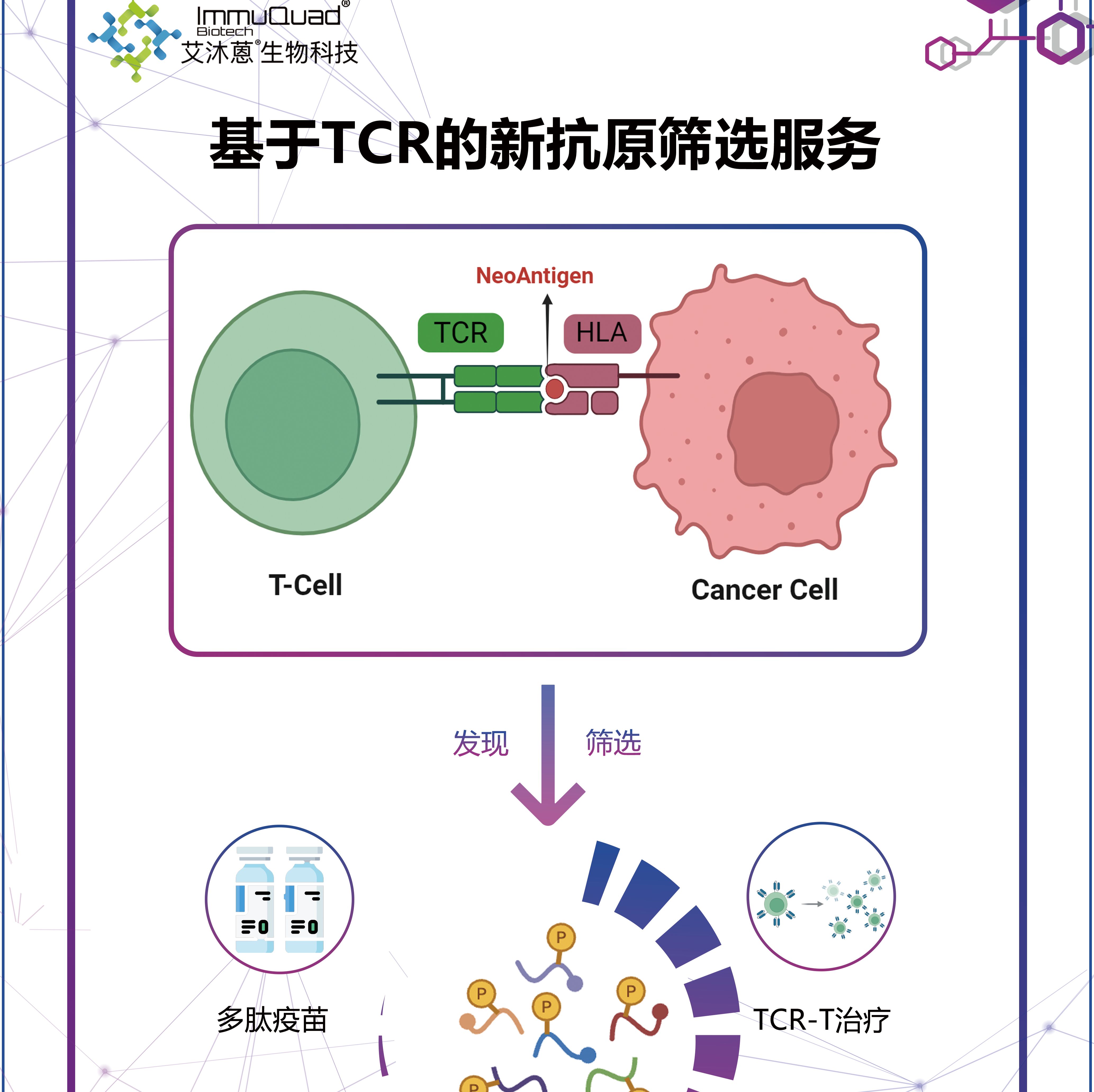 基于TCR的新抗原筛选服务