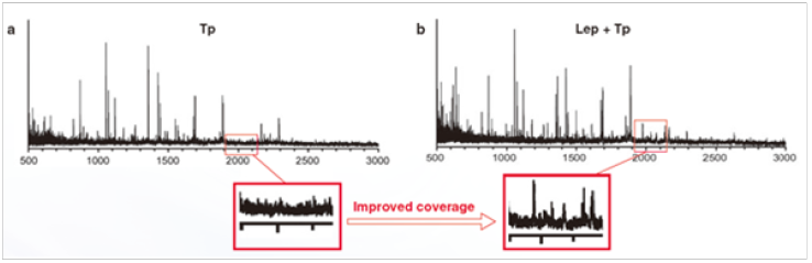 2514537050241407.png 2514537050241407.png