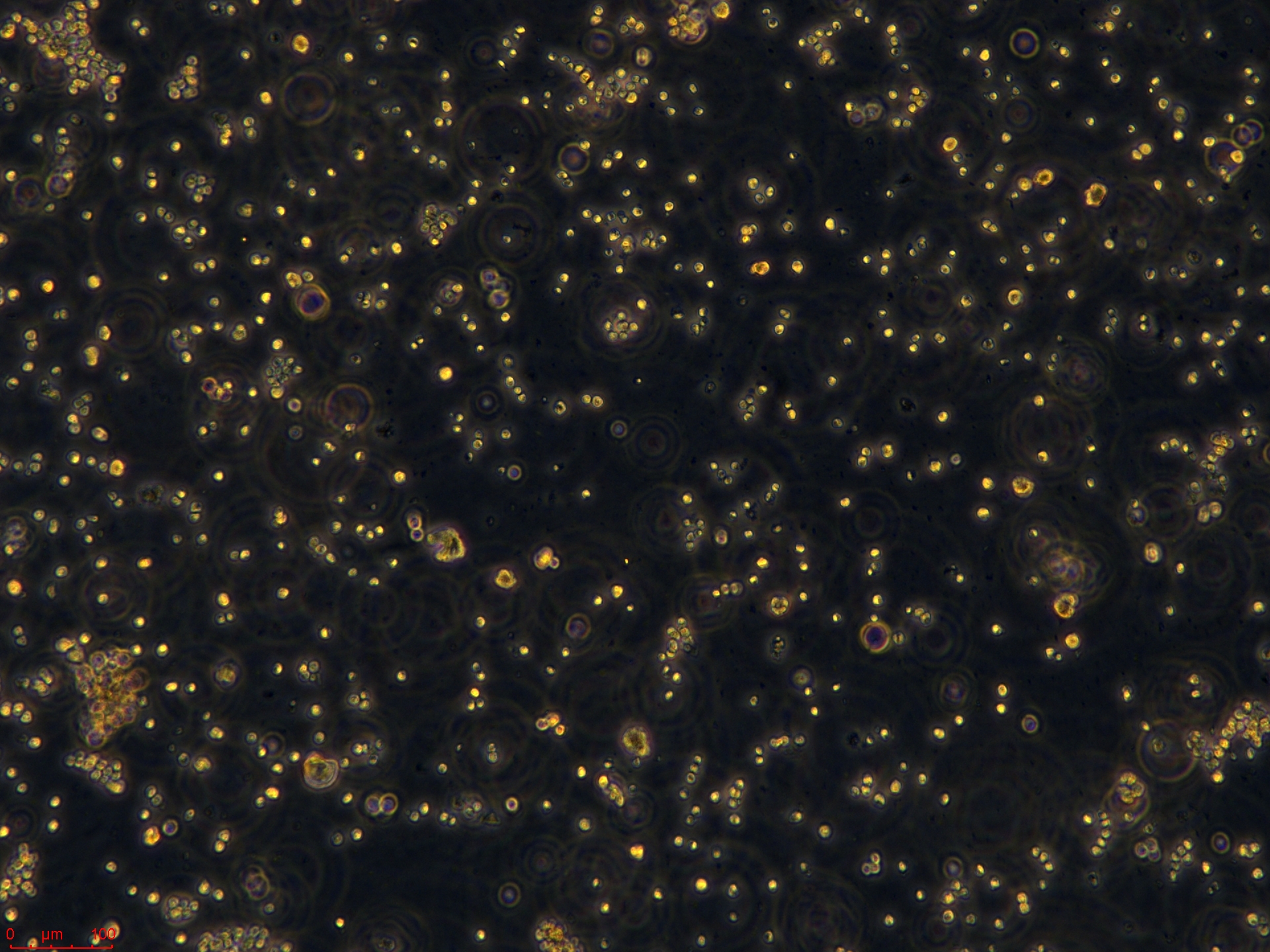 Project_SW1463_ch00 (2).jpg