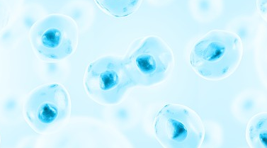 细胞冻存操作方法与注意事项