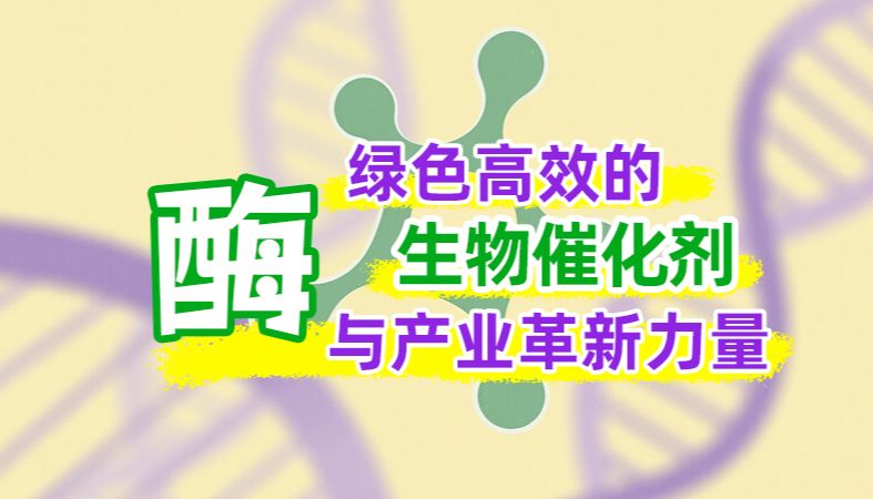 【魏氏试剂】酶：绿色高效的生物催化剂与产业革新力量