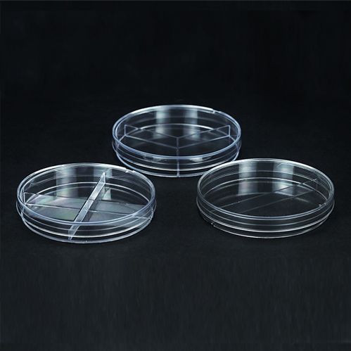 分格细菌培养皿