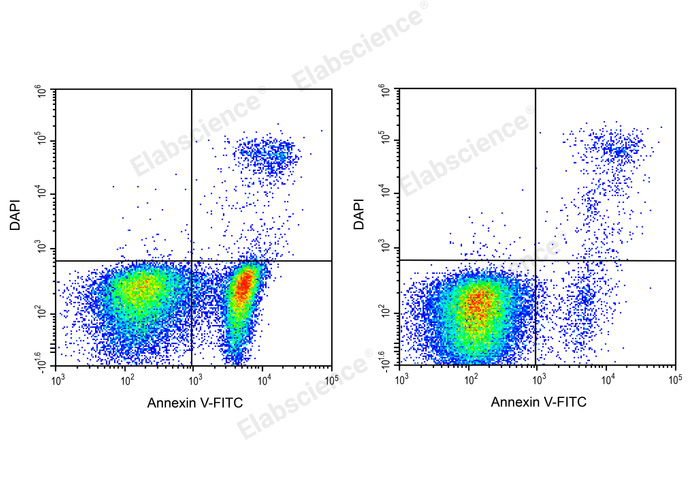精准捕捉凋亡信号！Elabscience Annexin V-FITC/DAPI凋亡检测试剂盒，助力科研突破