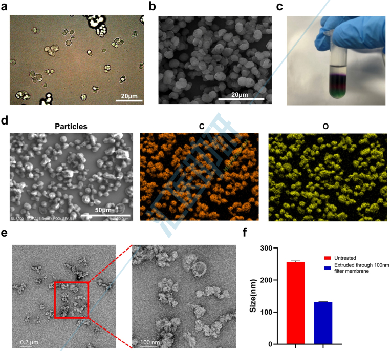 图1.ATSSA和EV的物理和化学特性。