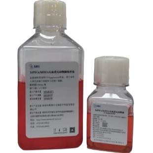 hiPSCs/hESCs无血清无动物源无滋养层干细胞培养基