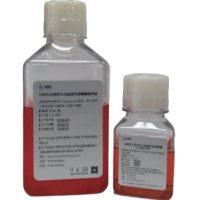 hiPSCs/hESCs无血清无动物源无滋养层干细胞培养基