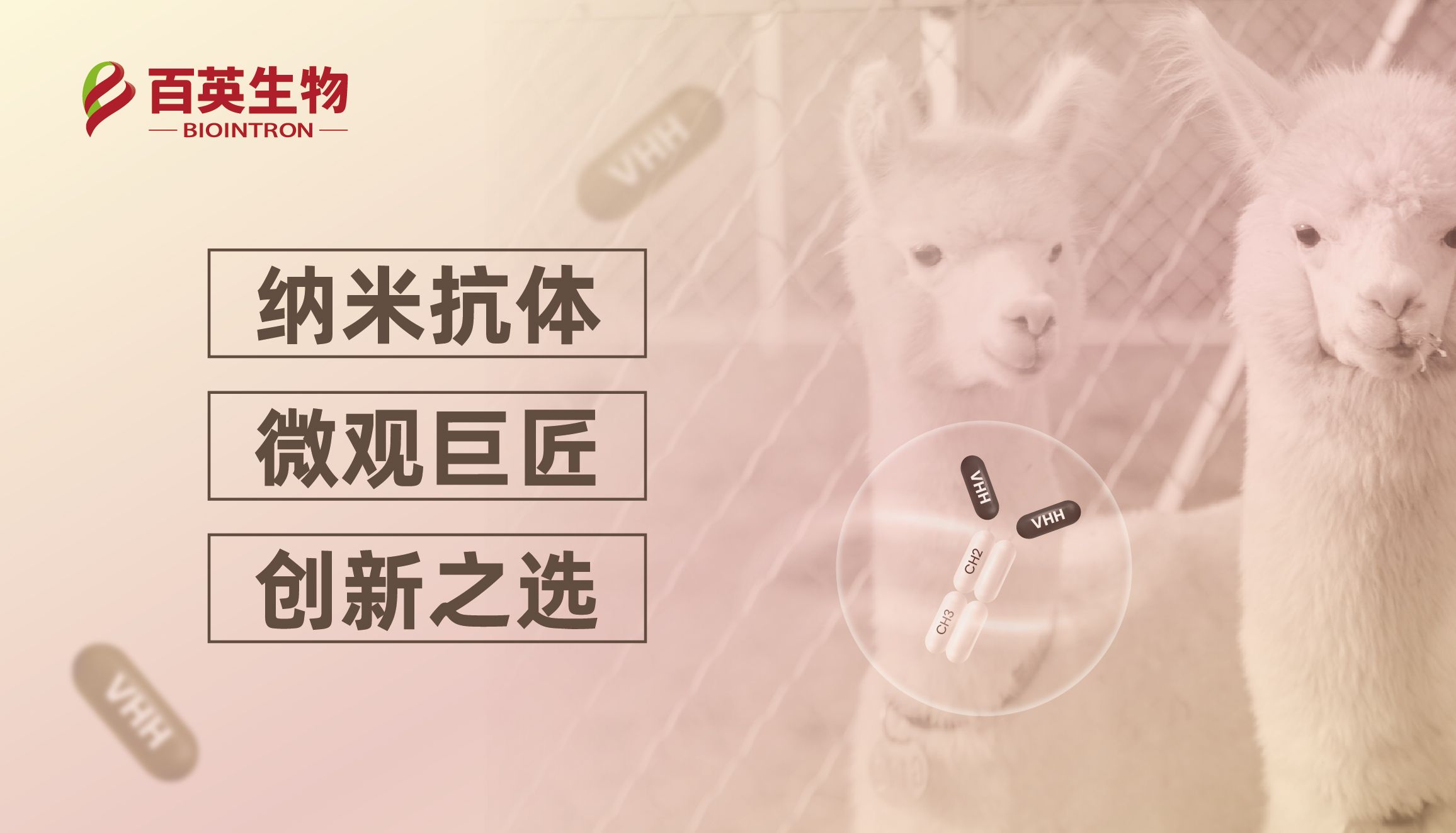 纳米抗体，微观巨匠，创新之选