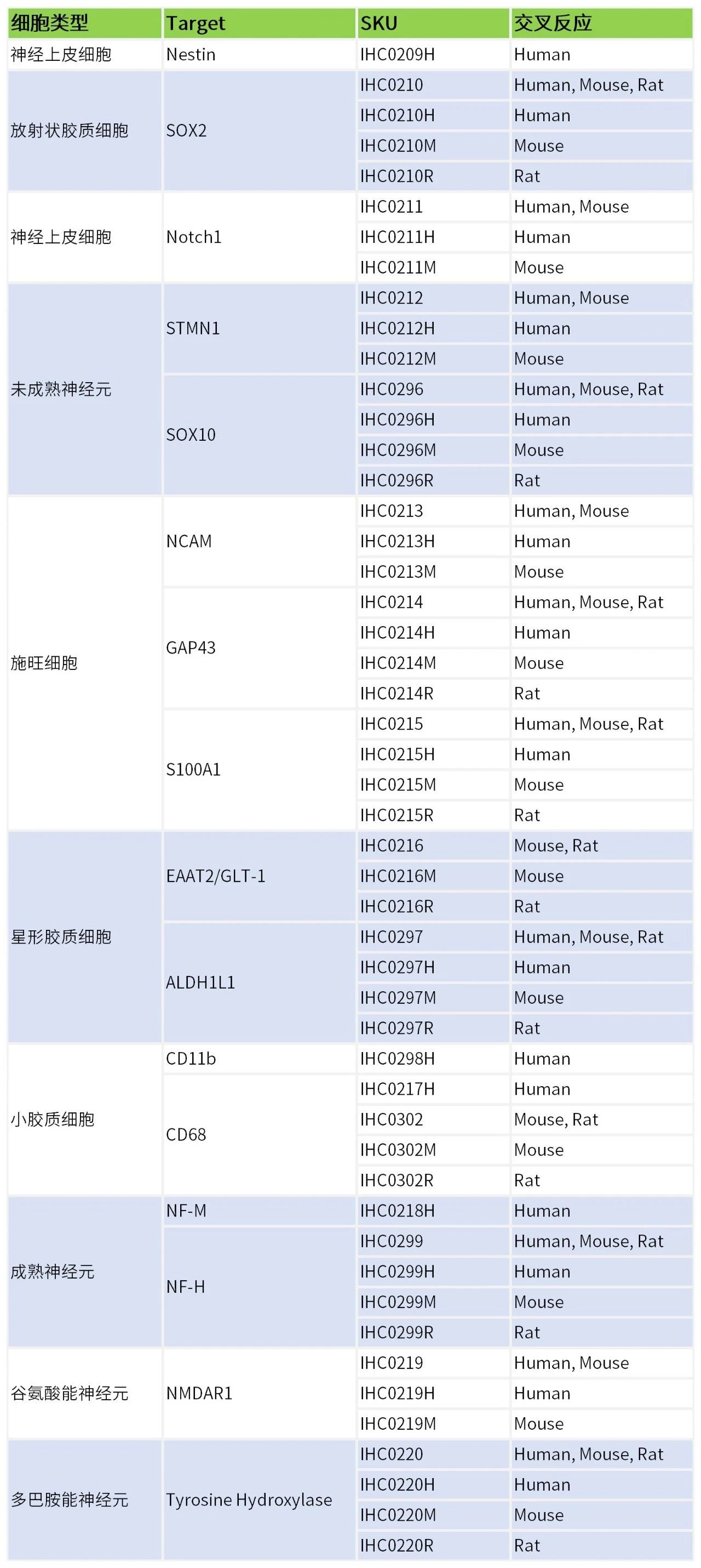 Bioss即用型IHC KIT上新及常见神经细胞标志物(三)