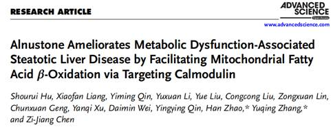 Advanced Science：陈子江/赵涵/张玉青团队揭示桤木酮增强线粒体脂肪酸β-氧化的关键机制