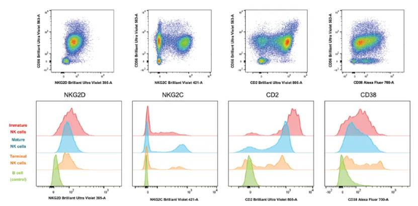 图表, 表面图
AI 生成的内容可能不正确。