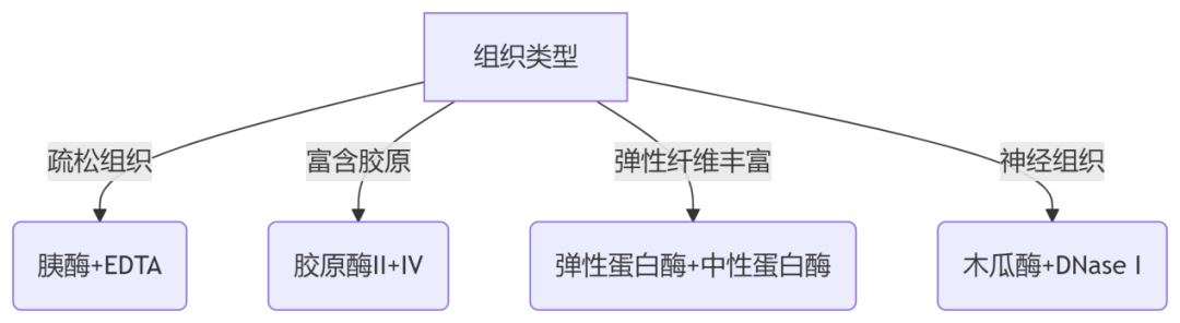原代细胞分离培养：从样本获取到精准鉴定全攻略