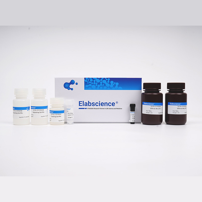 PVDF膜 (0.22 μm)_PVDF Membrane