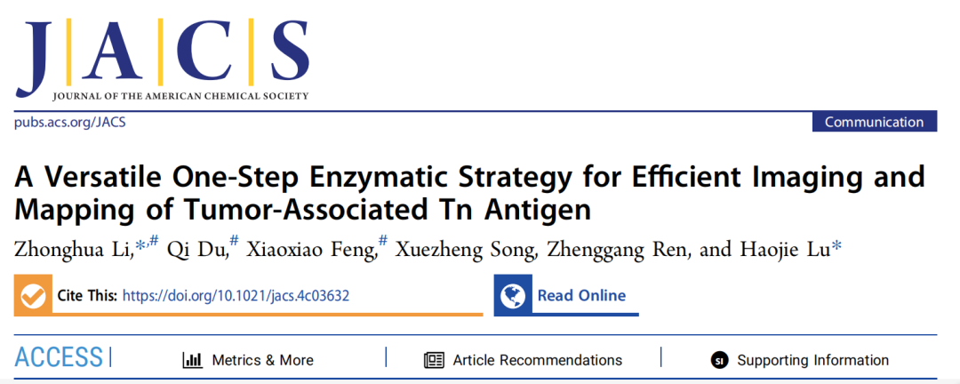 JACS(IF=14.4)｜复旦陆豪杰教授团队攻克Tn抗原检测难题：一步酶促策略如何实现糖基化位点的精准Mapping？