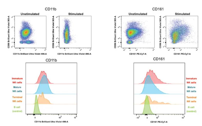 图表
AI 生成的内容可能不正确。