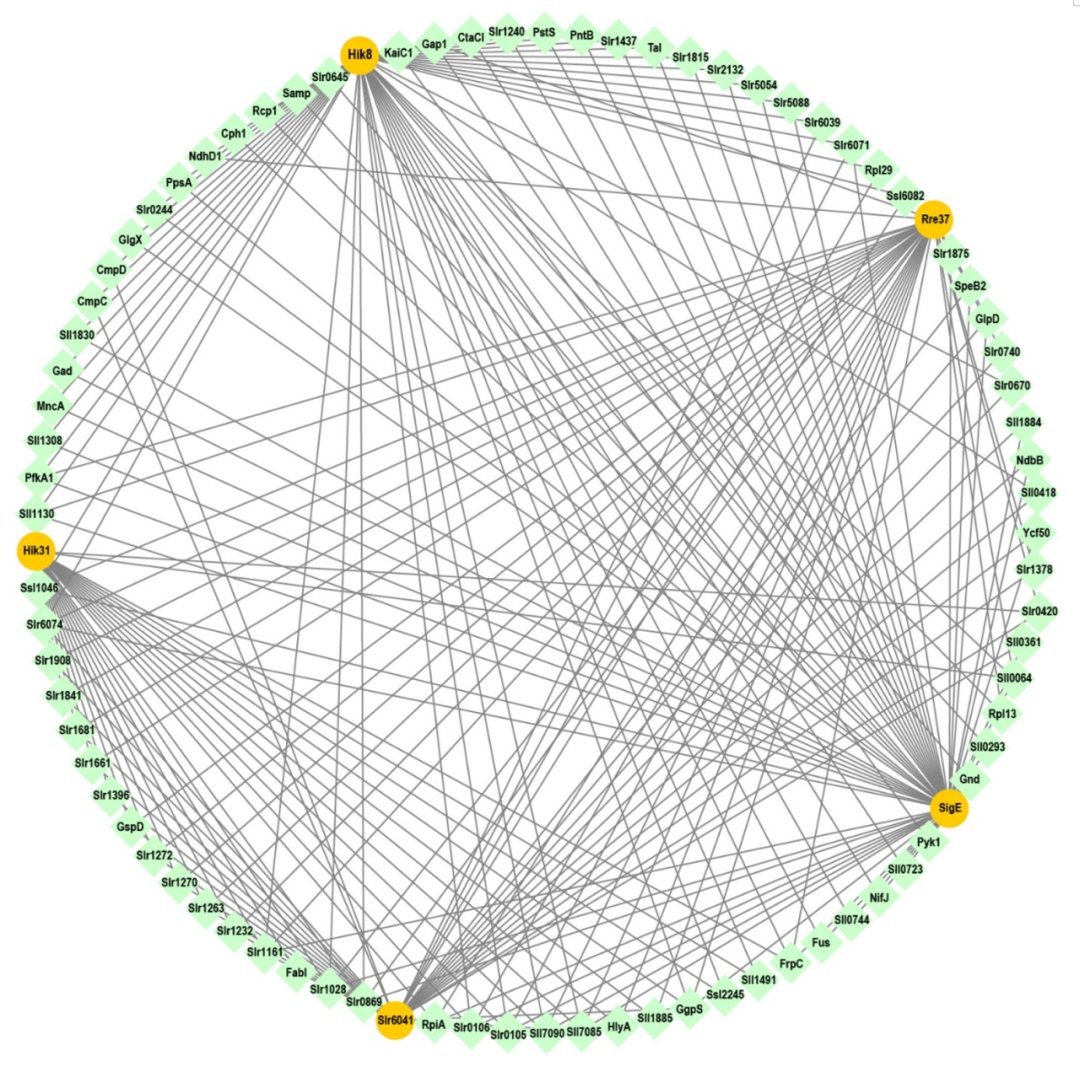 TMT结合PRM定量解析蓝细菌碳代谢蛋白质调控